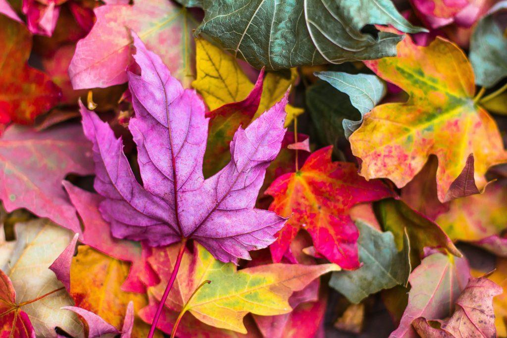 Changing Seasons & Your Sleep