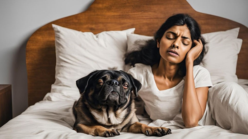 Snoring Dog: Why Your Dog Snores and How to Stay Friends