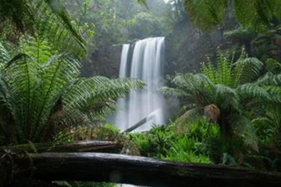 Green Noise for Sleep—What’s All The Fuss?